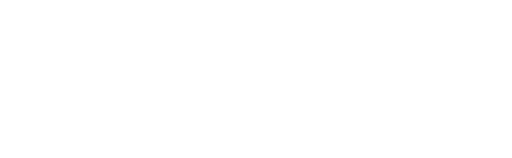 Microsoft Gold competencies